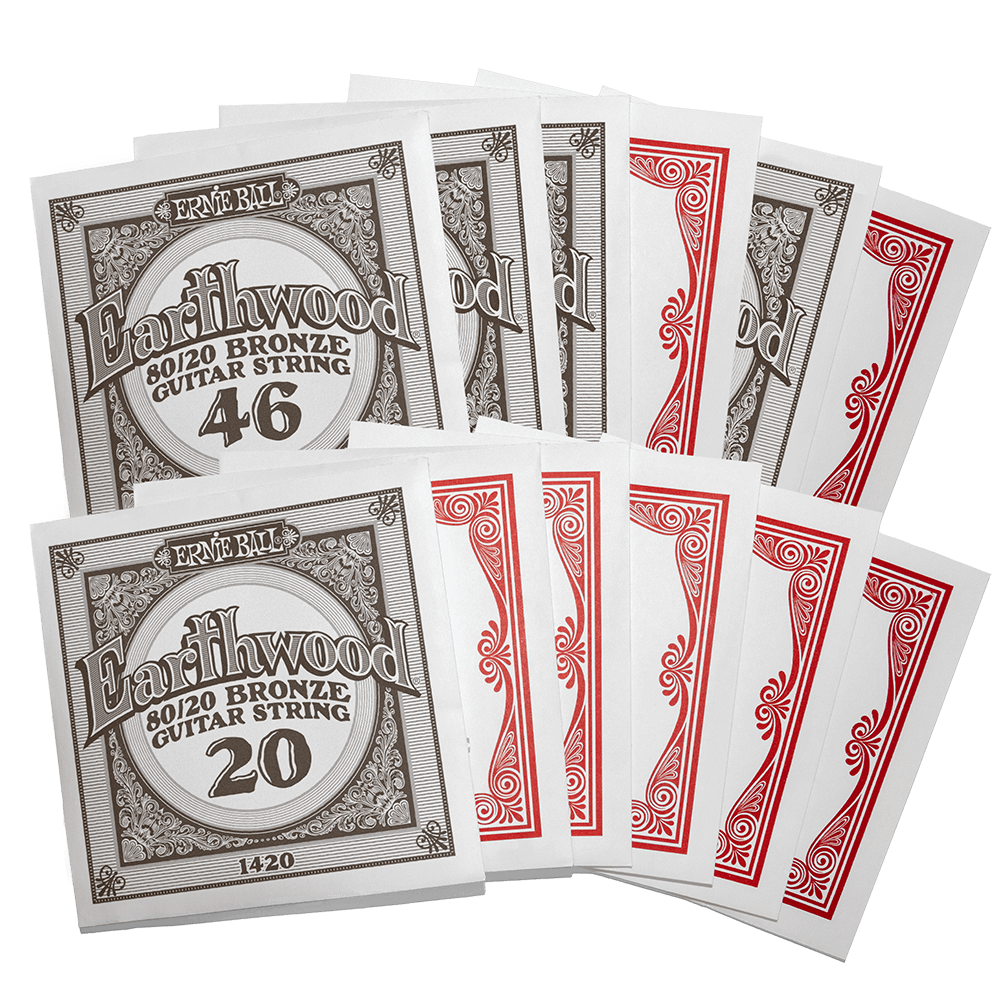 Ernie Ball Earthwood 80/20 Bronze Acoustic String Set - 12-string - Light (9-46)